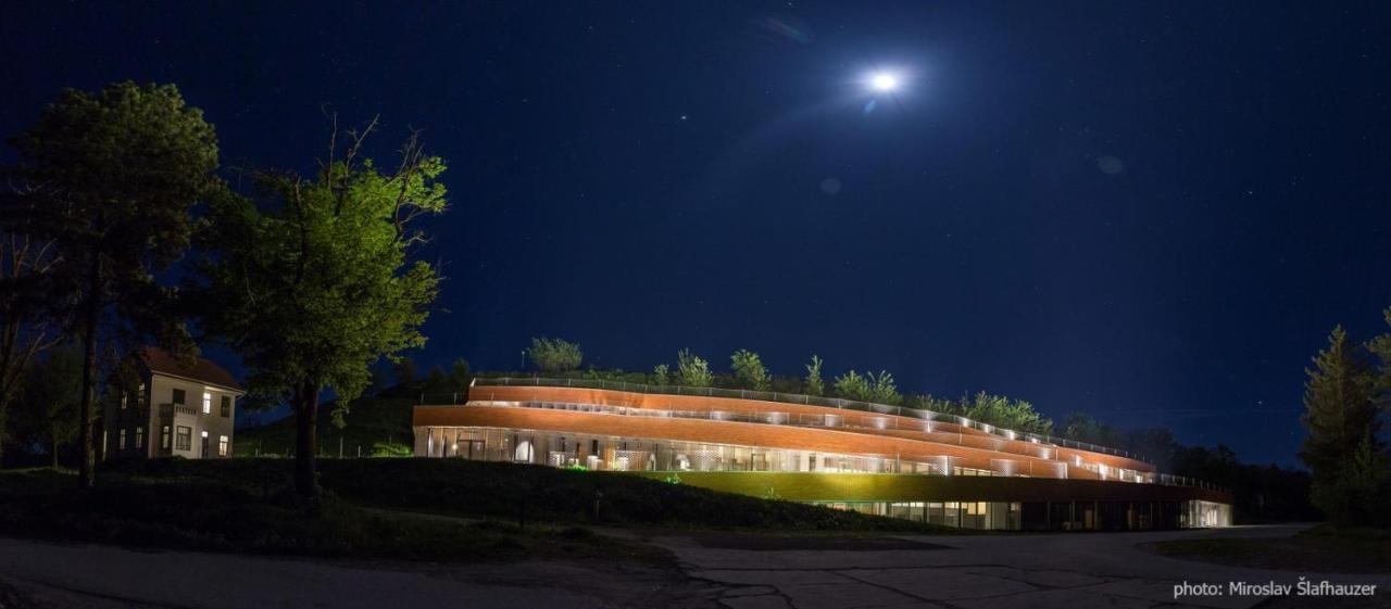 Bed and Breakfast Vila Rosa Vukovar Exteriér fotografie