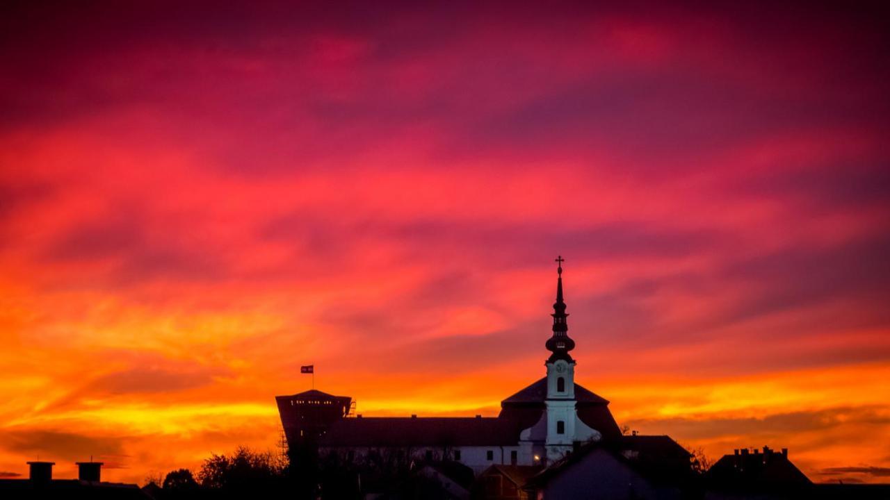 Bed and Breakfast Vila Rosa Vukovar Exteriér fotografie